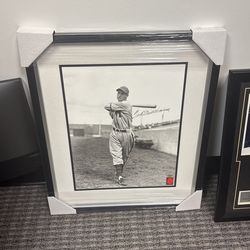 Ted Williams Autograph