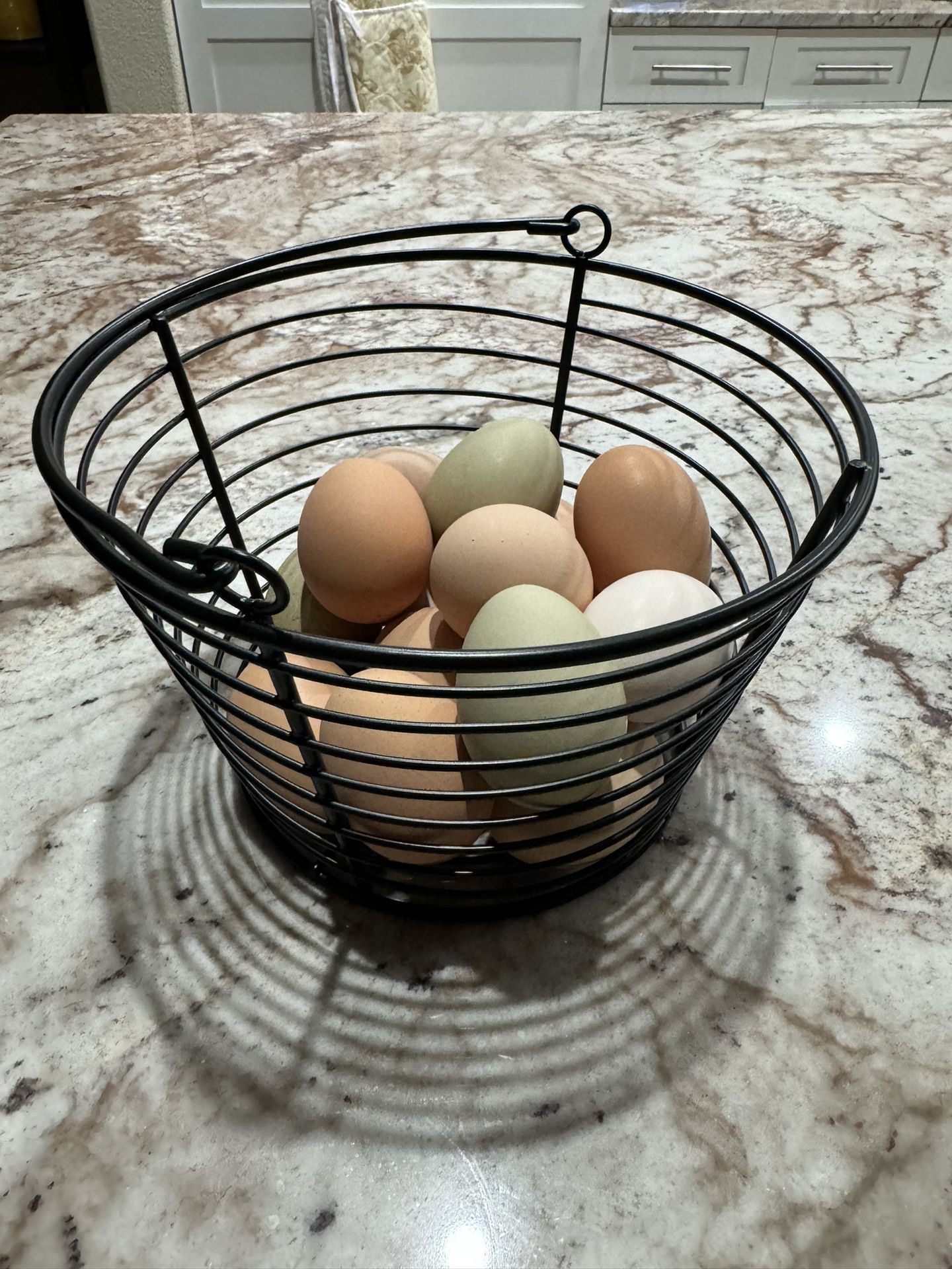 Farm Fresh Eggs - Organically Fed