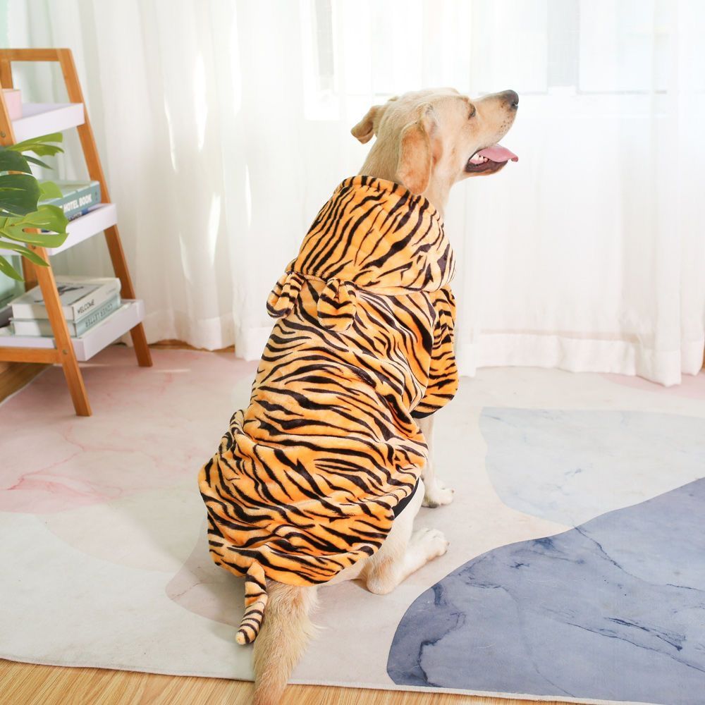 Dog clothes