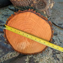 Arizona Ash Wood Rounds