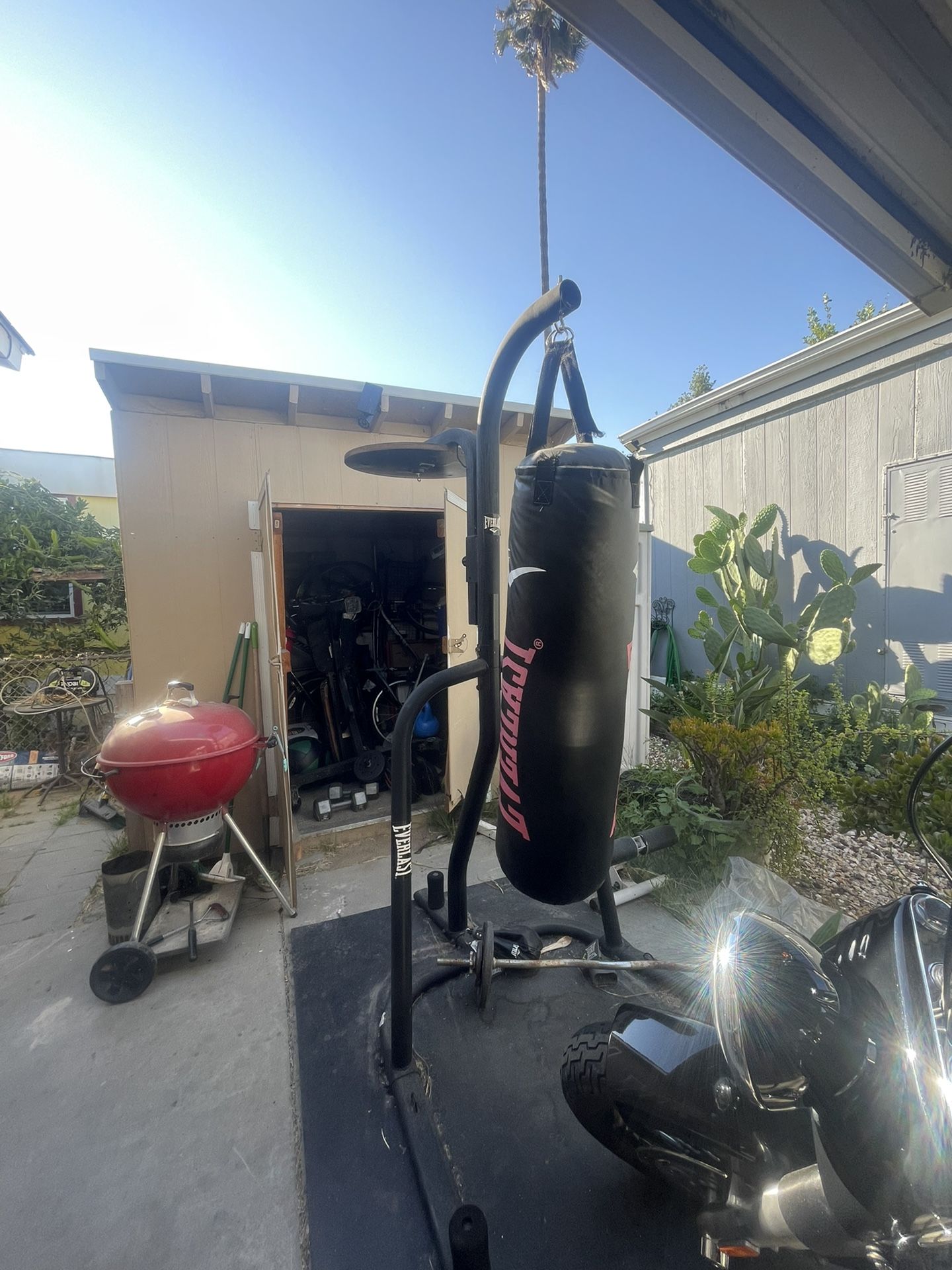 Everlast Stand And Bag