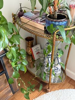 Bar cart with mirror shelves