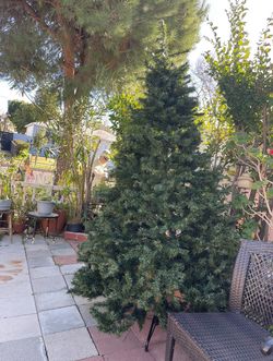 Christmas Tree 7.5 Feet