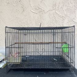 Bird Cage 