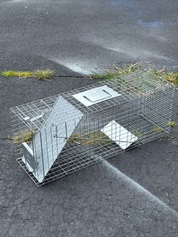 Large critters trap!!