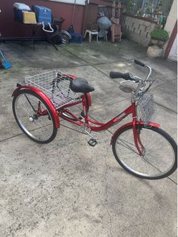 BRAND NEW & ASSEMBLED Adult Trike