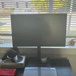 Thinkvision Monitor 