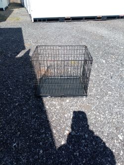 Dog Kennel