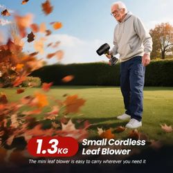 Powerful Wireless Leaf Blower 