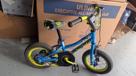 Schwinn 12 inch bike