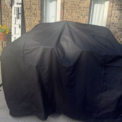 Dual Charcoal/Gas Grill 