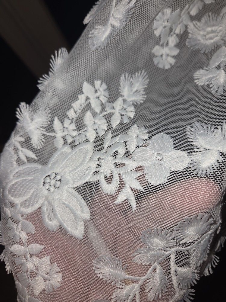 Sz 24 Never Worn Or Altered Wedding Dress