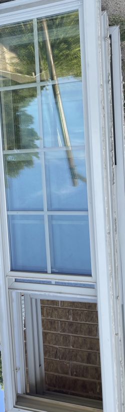 5 Tall Windows