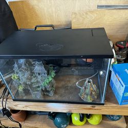 Fish Tank With Essentials