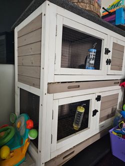 Guineapig cage