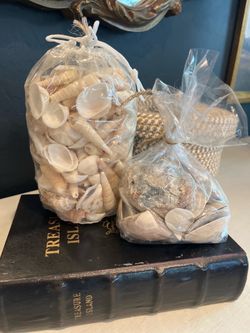 2 bags of misc. shells, great for decorating