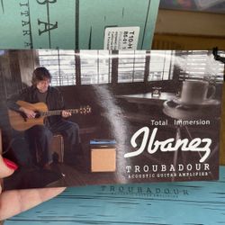 Troubadour Acoustic Guitar Amplifier