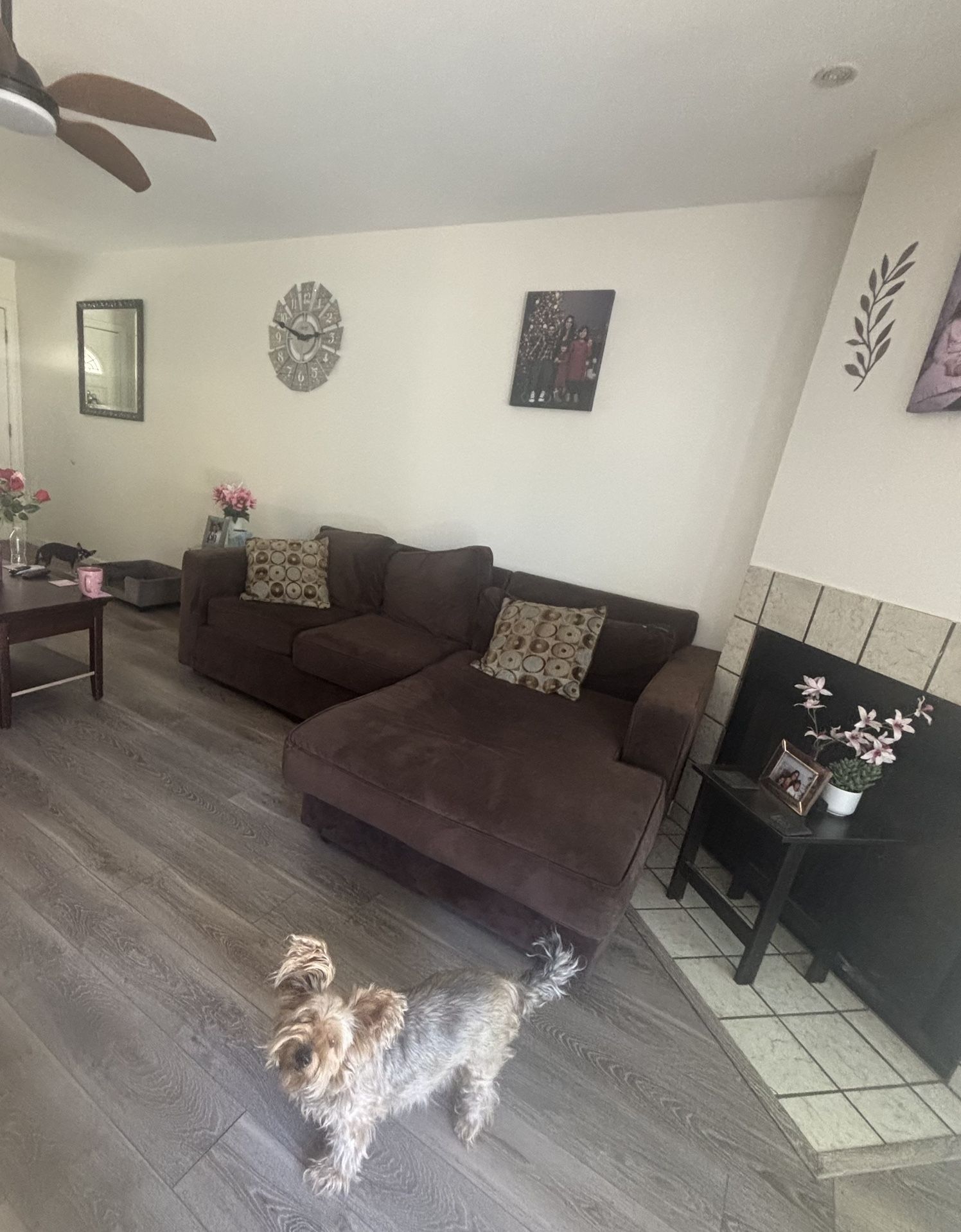 Couch