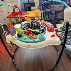 Fisher-Price Baby Bouncer