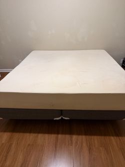 Free king sized mattress