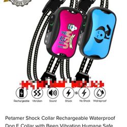 Bark Collar, Dog E Collar