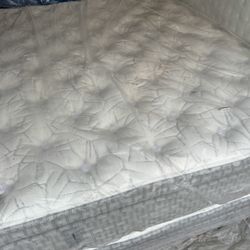 California King Size Bed Mattress King Koil Intimate Medium Firm Euro Top Kluft Aireloom Chattam & Wells Stearns & Foster Serta Sealy Beautyrest Black