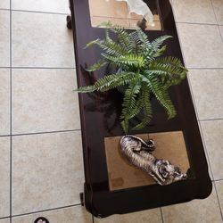 Mohagony Coffee Table 