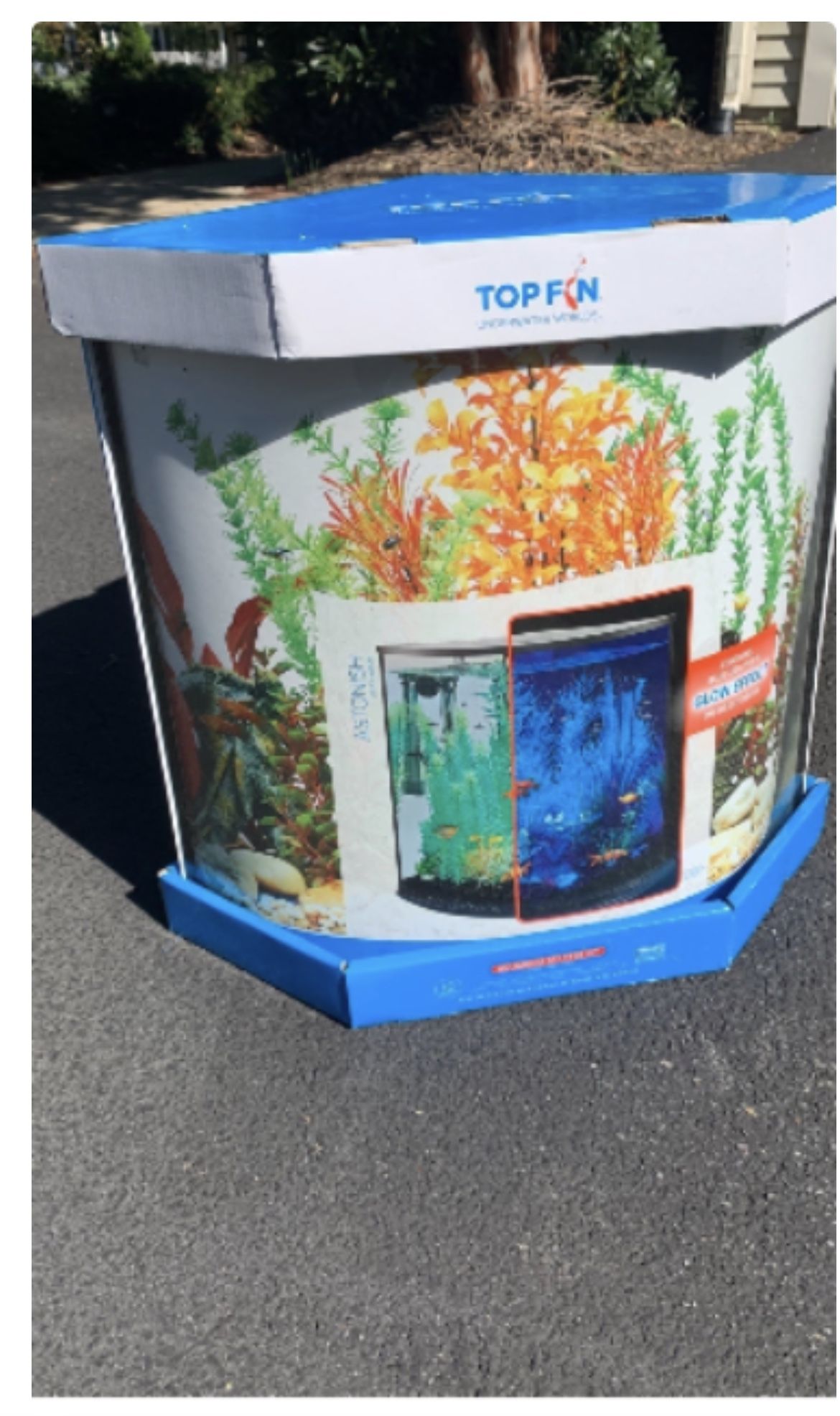 Corner Aquarium