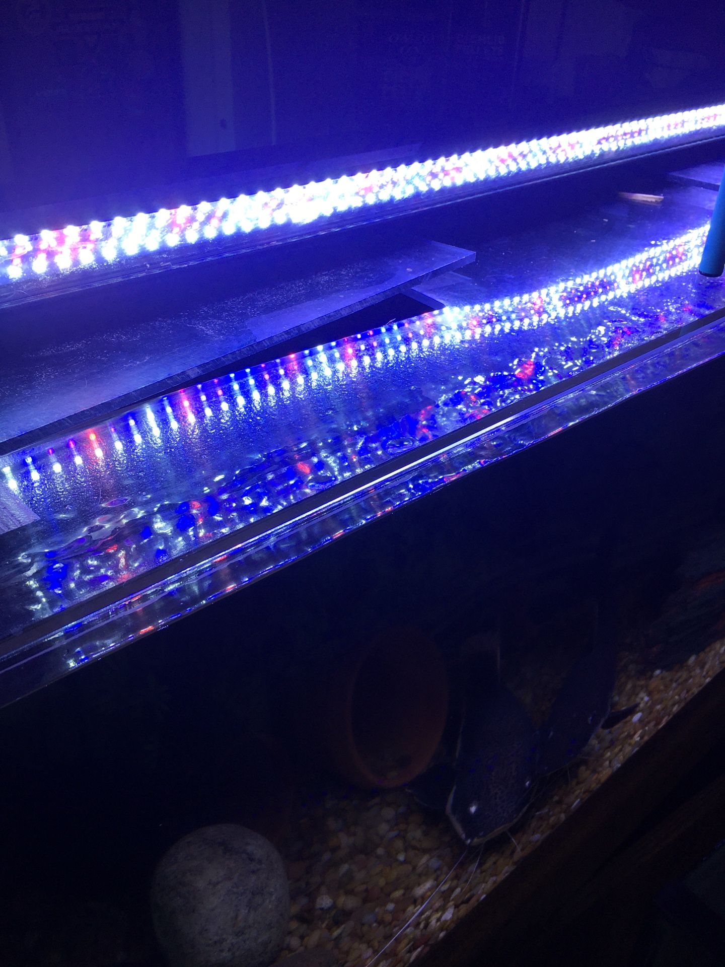 Fish tank light led