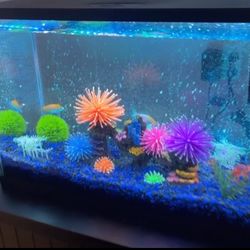 Top Fin® LED Bubble Wall Aquarium Kit