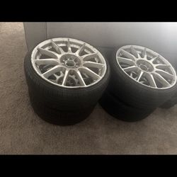 Rot firms 20. Inch 