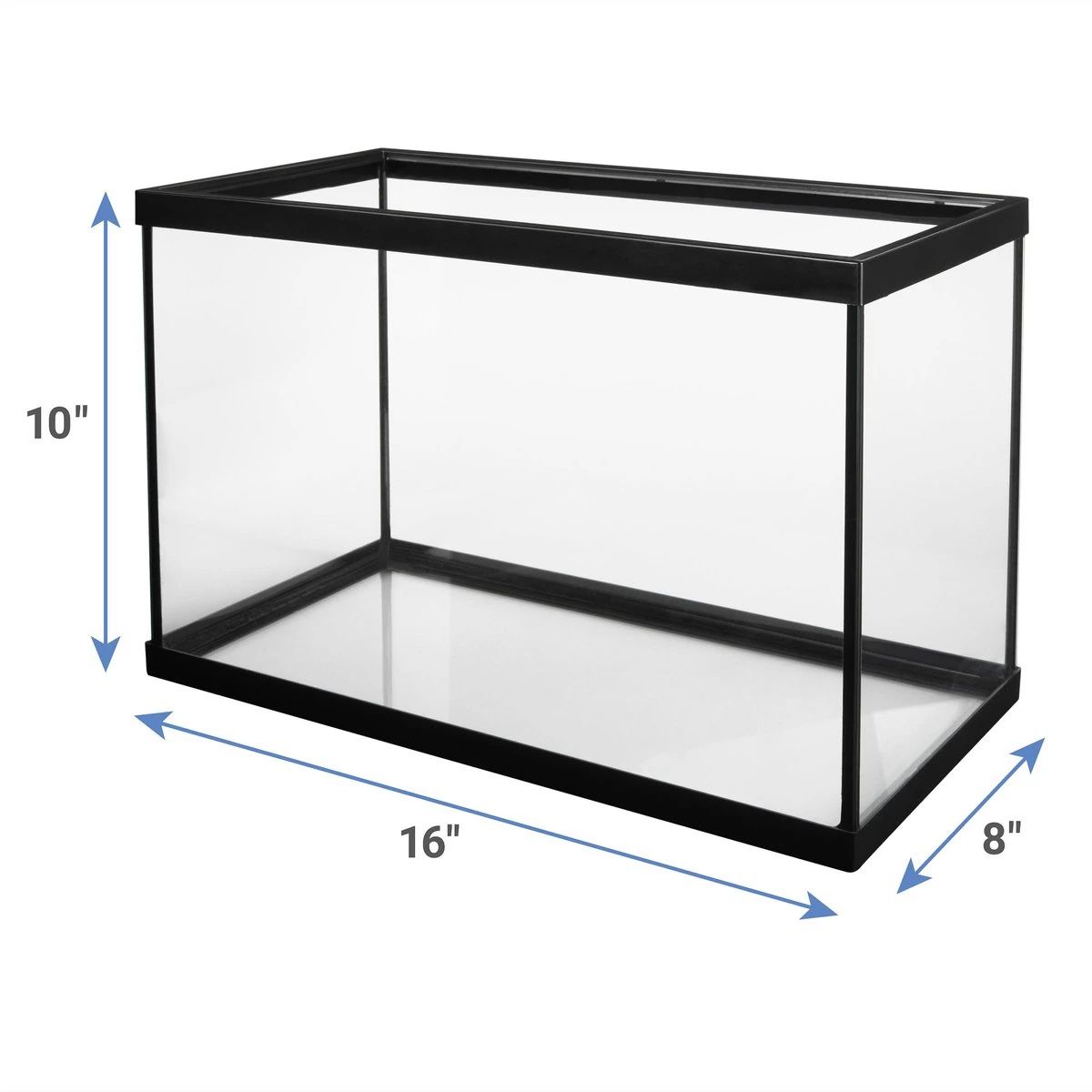 Fish Tank