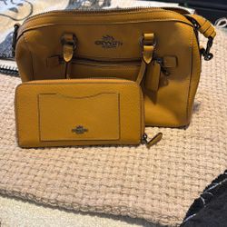 Coach Purse And Wallet