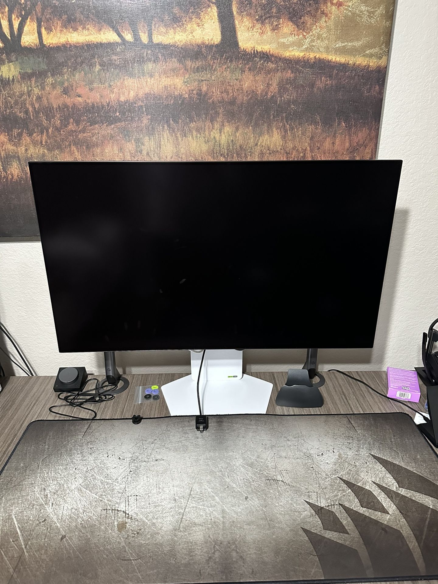 LG Gaming Monitor