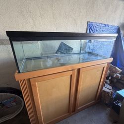 55 Gallon Fish Tank