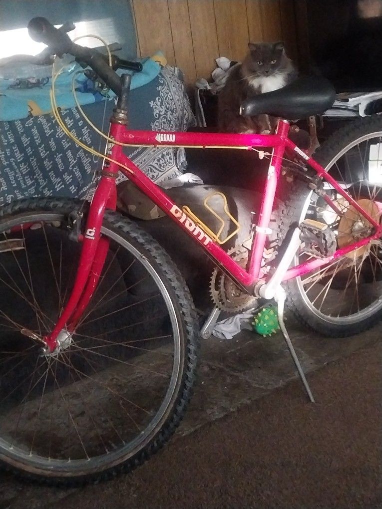 24 Inch Giant Iguana Mountain Bike