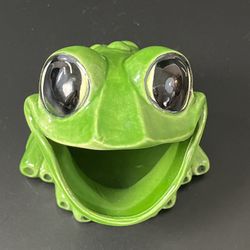 Green Frog Sponge Holder 