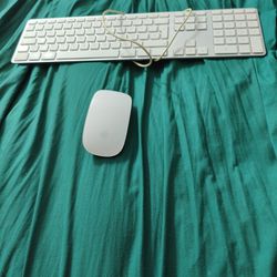 Apple Keyboard And Wireless Mouse.