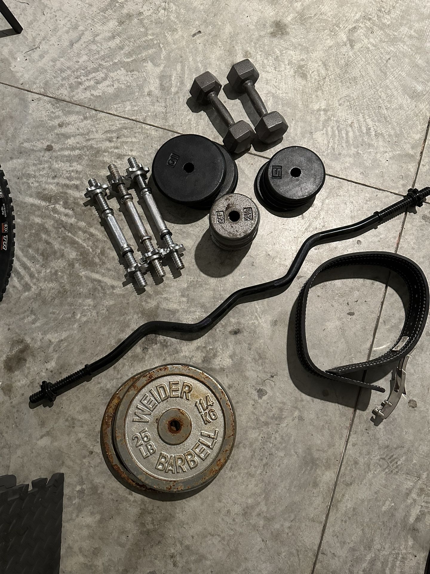 Gym Weights & Equipment