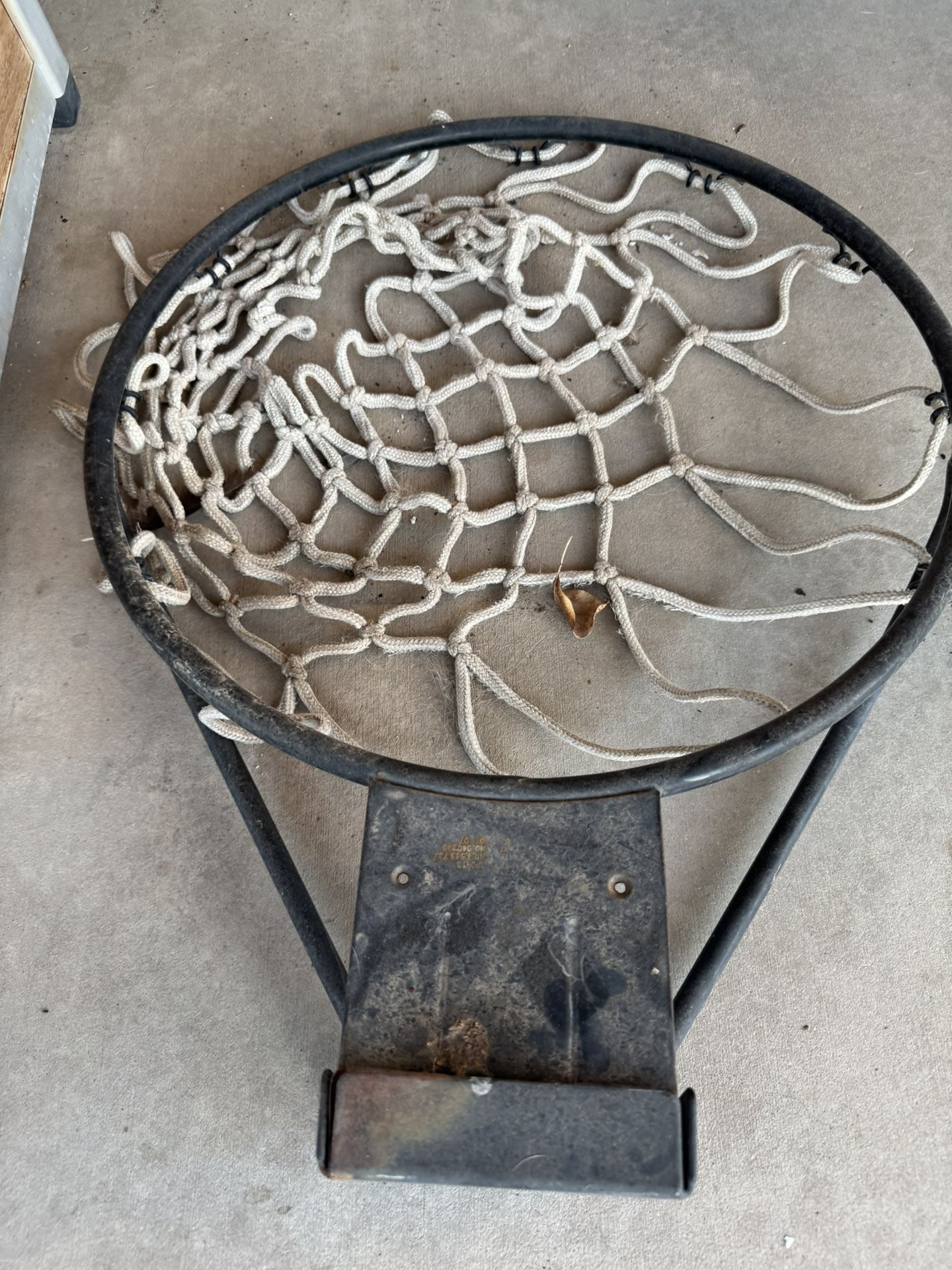 Standard Basketball Hoop