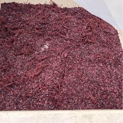 Attention Composters And Farmers. Free Grape Pomace. 