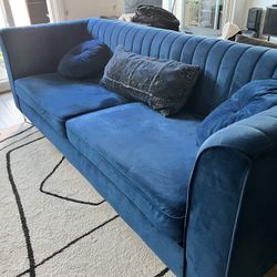 Blue Velvet Couch