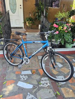 Raleigh M30 Mountain Bike 21-Speed