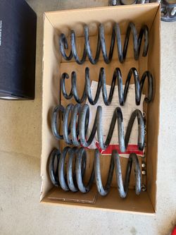 Tesla model 3 performance Eibach lowering springs