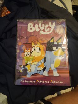 Bluey 12 Posters booklet