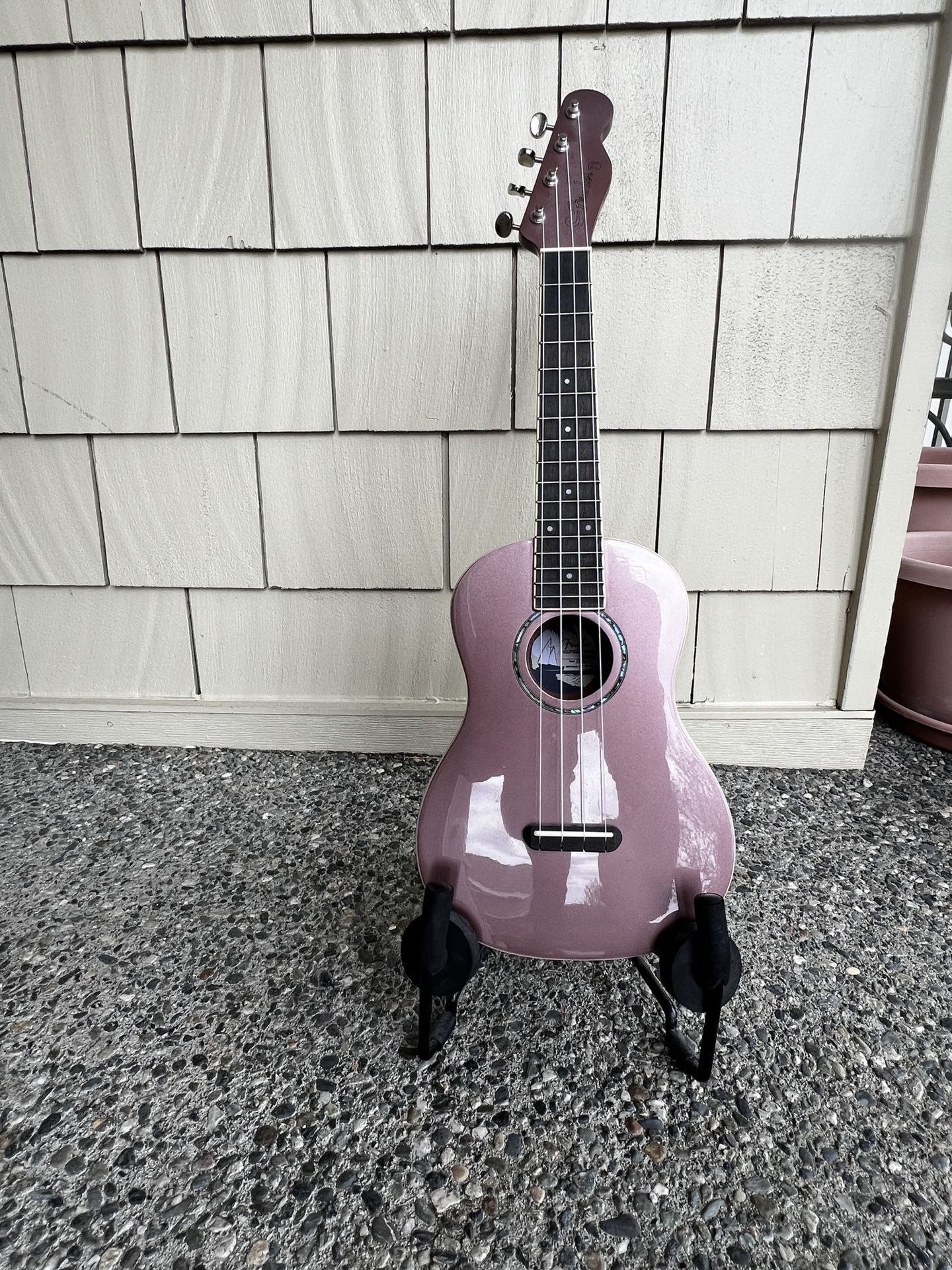 Ukulele And Stand