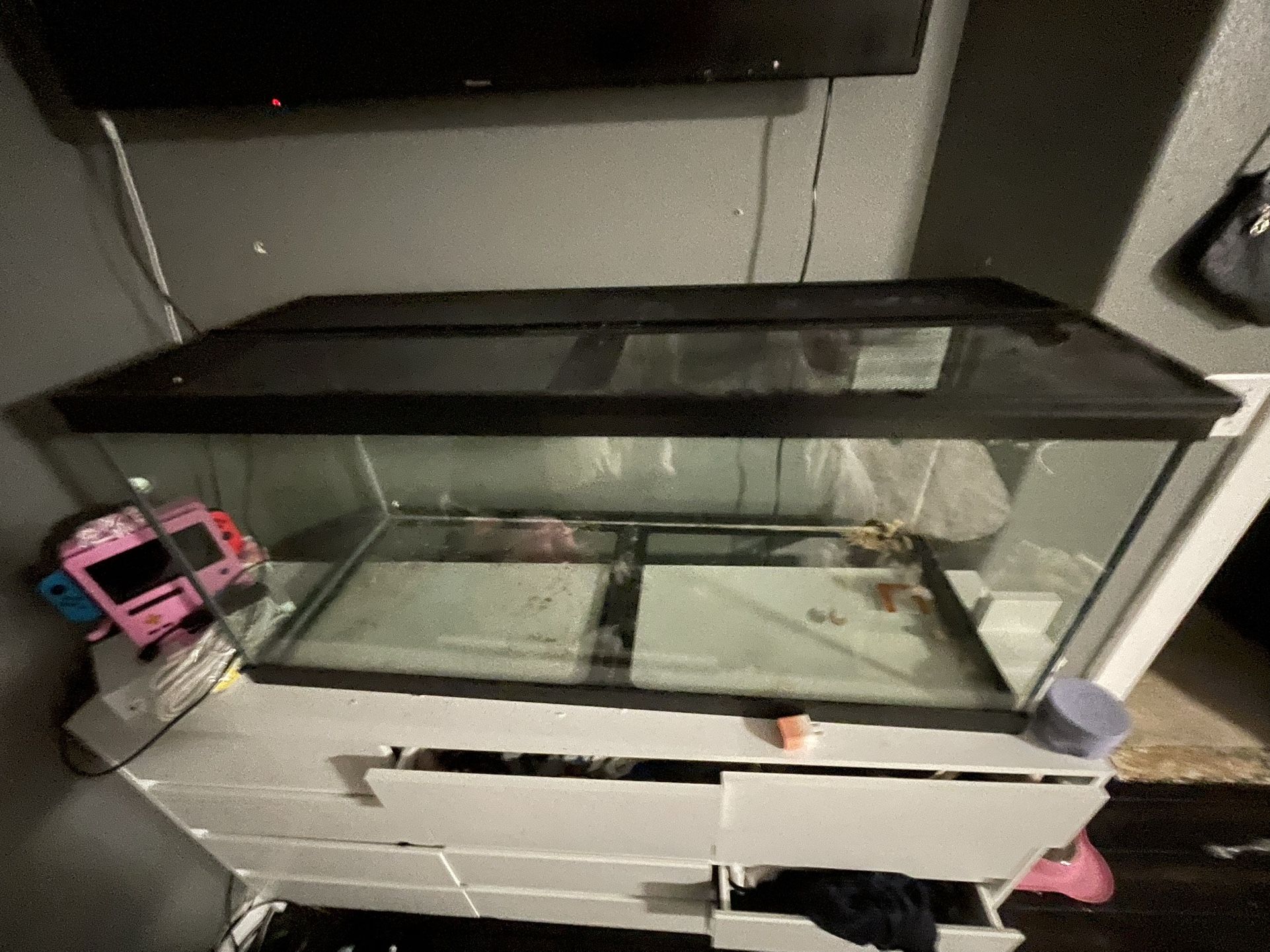 75 Gallon Tank