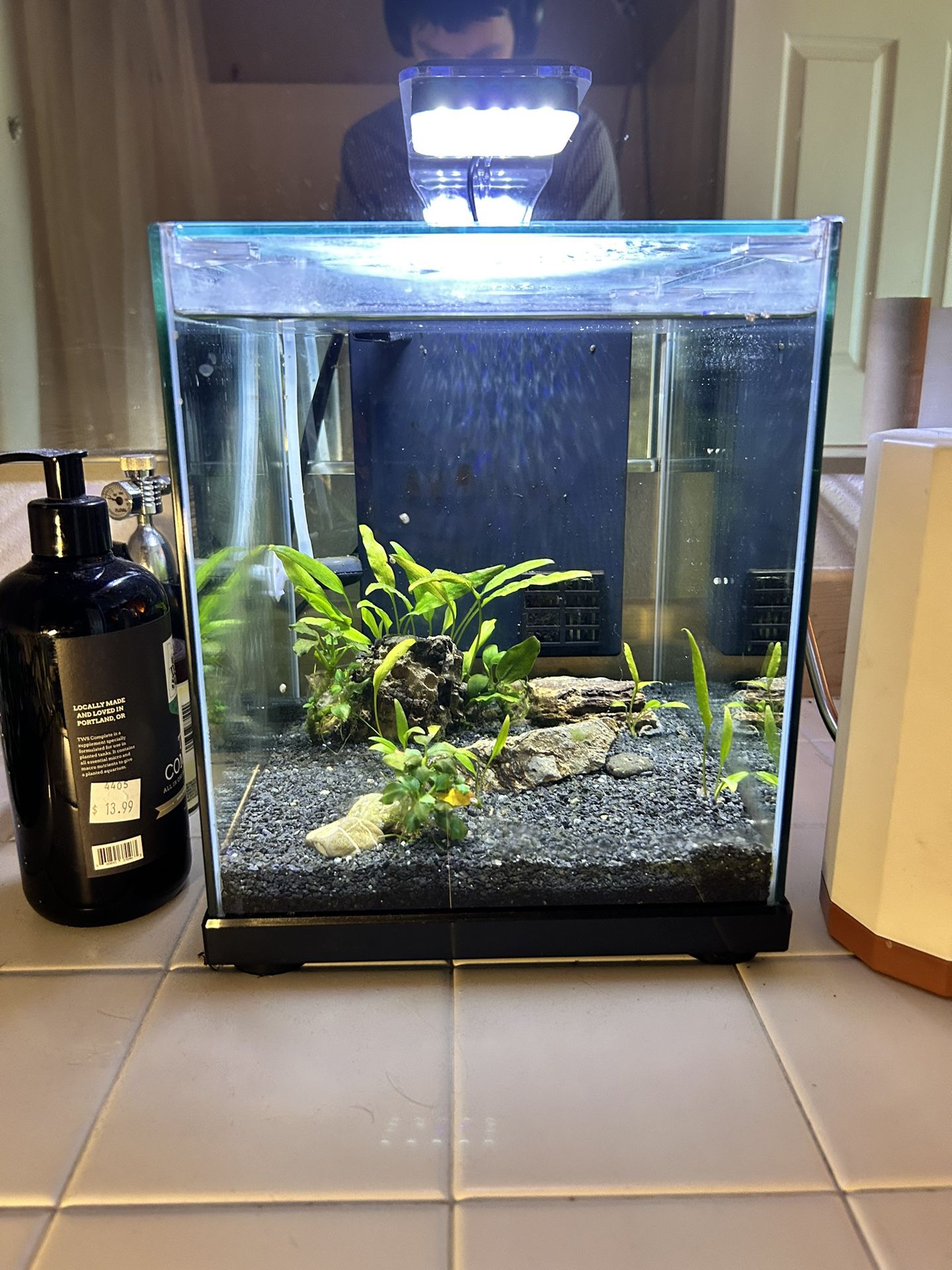 5 gallon Fish tank + plants and supplies