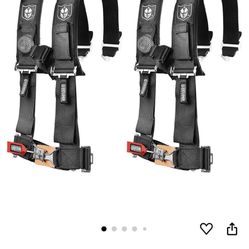 Harness For Polaris Razar