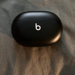 Beats In Ear Headphones